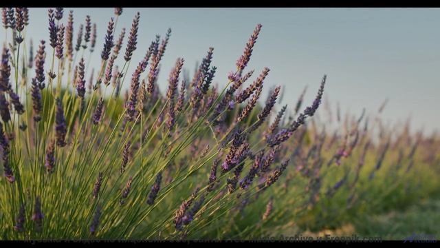 Кадры, которые заставят вас плакать от осознания! - The Water and the Well -- Nihilore -- Broken Par