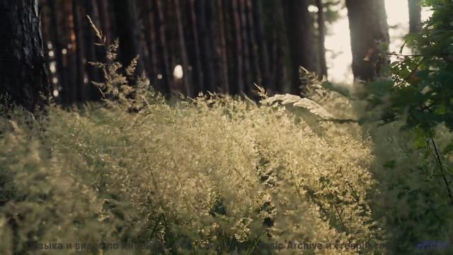 Кадры, снятые наномикроскопом - увидите невидимое! - Lisa On The Lawn -- Taylor Poe -- 10 Million Ba