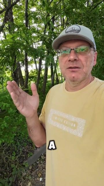 Чем опасен грех