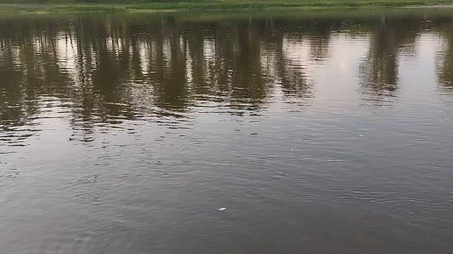 Уфа - Шигири 12-06-2025