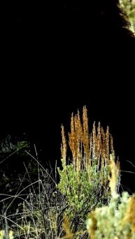 Камера поймала смешной момент