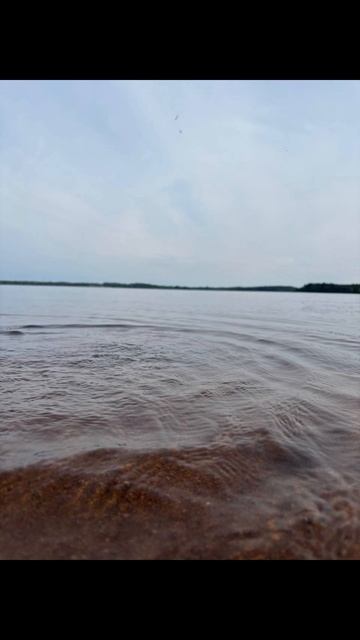 Лемболовское озеро. Ленинградская обл