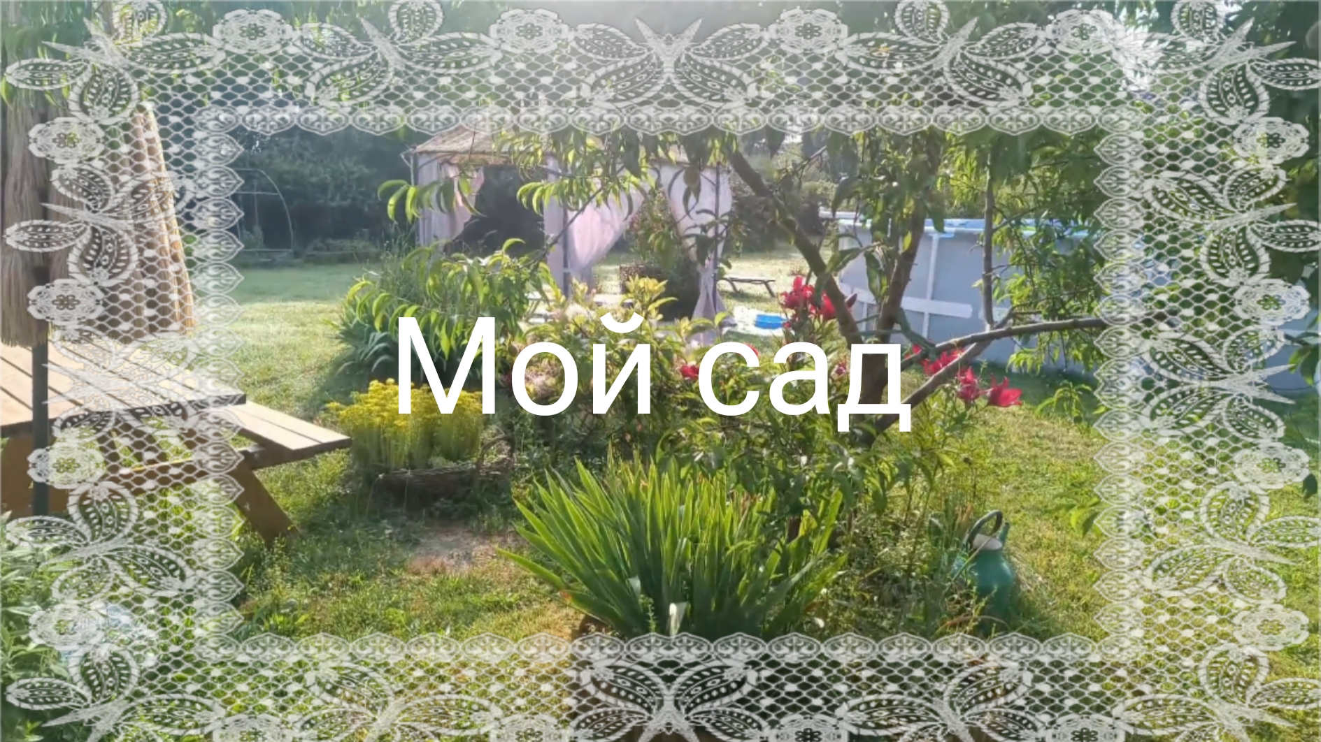 Обзор моего сада в июне. Франция. Дача La Charrette.