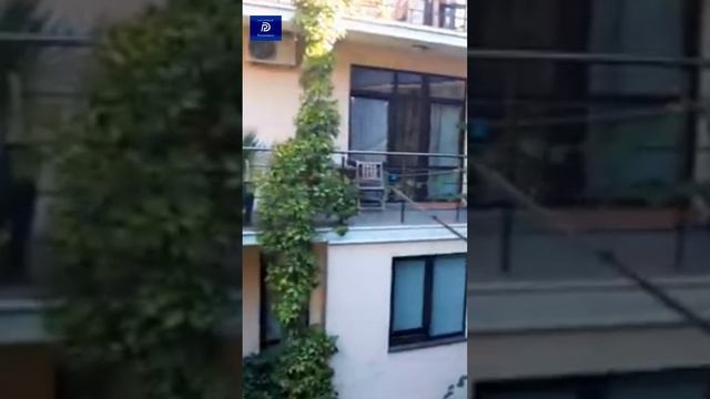 СейЧас Лисов*..в Крыму ищет малую гостиницу. На День России.