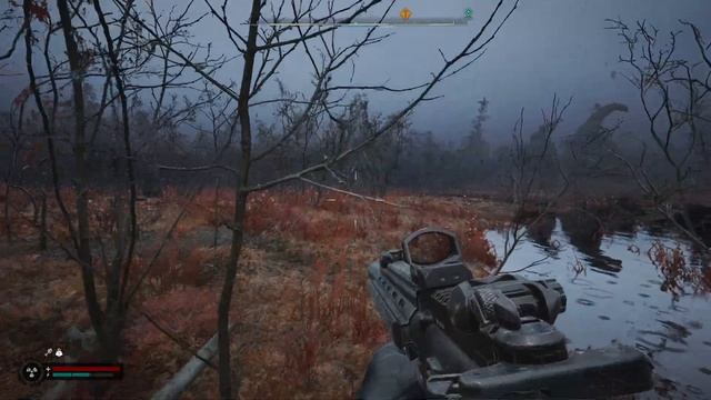 ✅ S.T.A.L.K.E.R. 2 – В поисках Болотного Доктора.№31