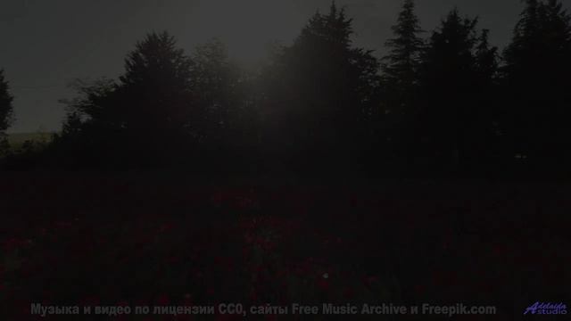 Песня, которая начинается с 'поехали' и не заканчивается никогда - Complications -- HoliznaCC0 -- Ch