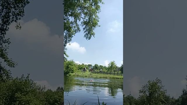 плавание 🏊