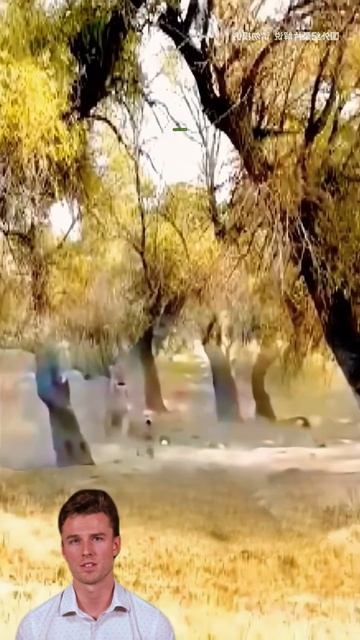 i2z1DGzxyQo - Where fear ends, life begins... #shots #viral 🔥🔥🔥 #shorts #animals #lion #wildlife