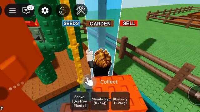 Выращивая свой сад, получил 50000 рублей на семена за продажу своих продуктов 🍓🐱😻