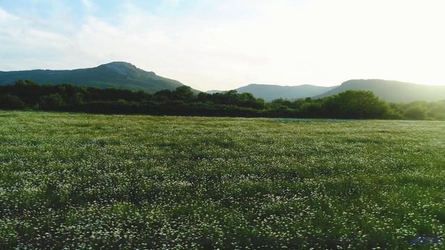 Ощущение полёта не покидает всё время просмотра - Rising -- Johannes Weber -- Unnamed album