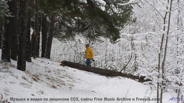Пейзажи превращаются в живую симфонию с этим звучанием - Mans-Dem -- Shaolin Dub -- Macro Micro