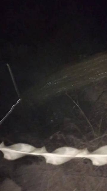 1000025255.mp4