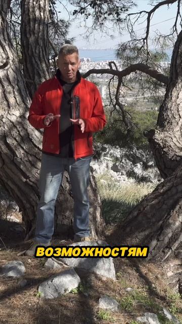 Цигун доступен каждому: начните практиковать сегодня!