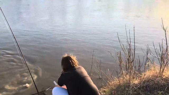Ловля судака на реке. Секретная снасть!) #fishing