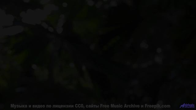 Эта мелодия заставит ваше сердце биться чаще - слушайте вместе! - Creative Writing -- Chad Crouch --