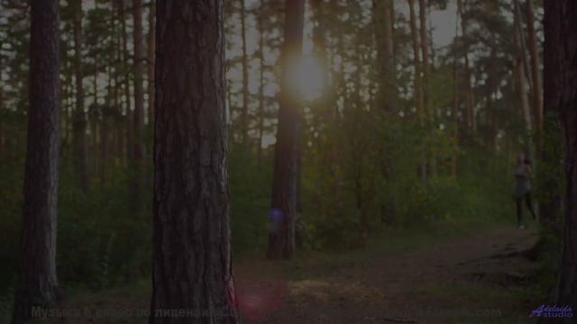 Музыка, которая превращает зиму в волшебство! - In Tandem -- Ketsa -- Darkness and Light