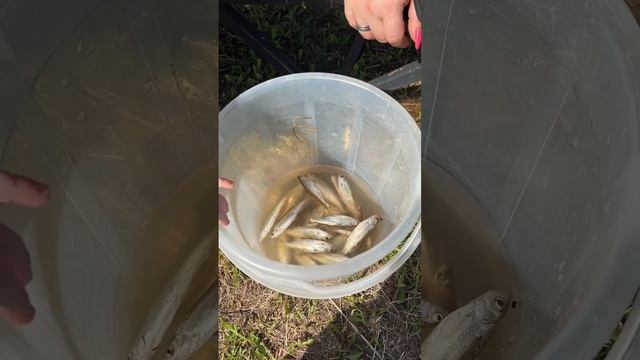 "Федерации женского рыболовного спорта "Блесна" ! 🎣