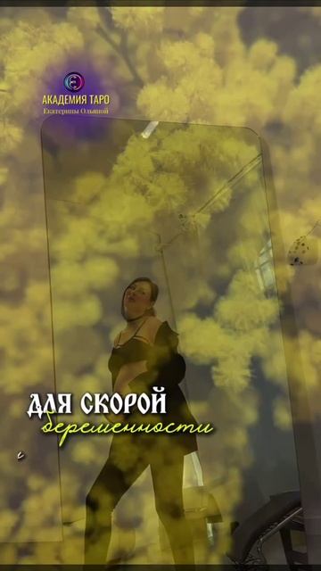 1000015786.mp4