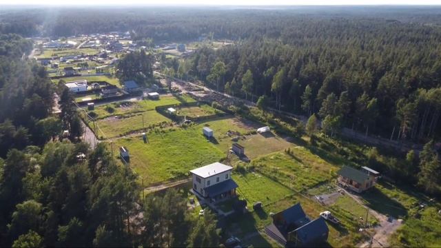 Свой кусочек леса рядом с Финским заливом