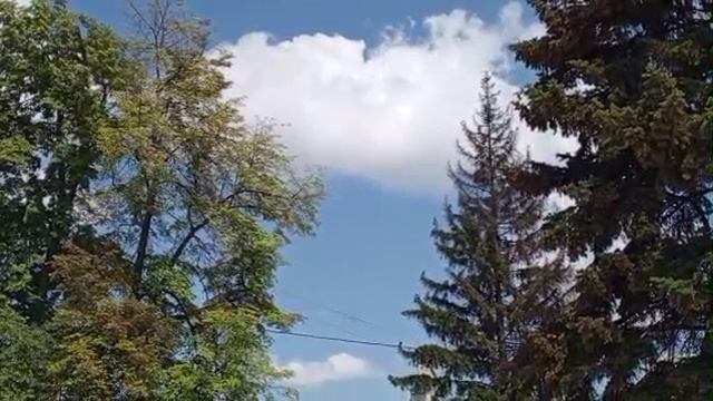 1000008258.mp4