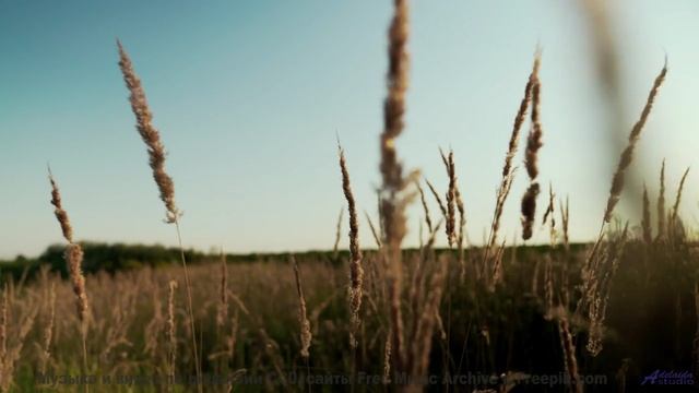 Дороги, поля и горизонты пульсируют в ритме трека - Laundry On The Wire -- HoliznaCC0 -- Lazy Summer