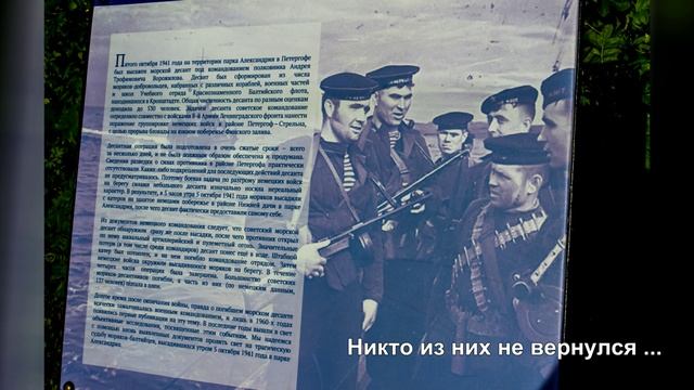 Парк Александрия 2 заход