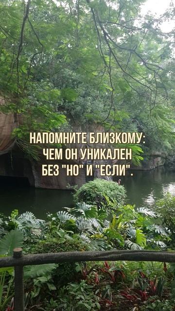 ВАШ ВЗГЛЯД, КАК ЧУДО. 

#правилажизни
#поверьвсебя 
#психологиядостижений 
#Замалевский