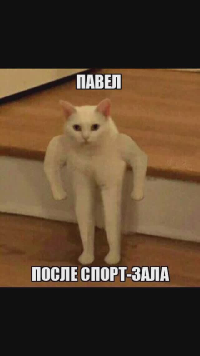 172f7892fbe94918b2a93ba1865678c4