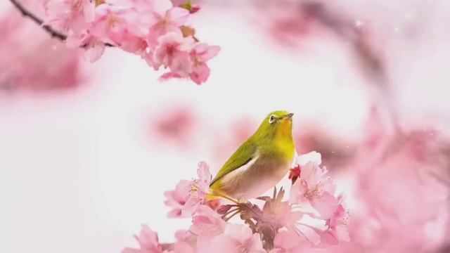 Дуа Утро أذكار الصباح защитить вас вес день! утренний ?