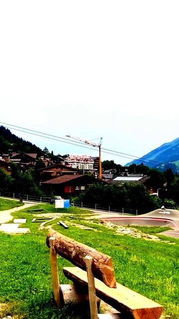 Камера сняла курьёзный случай