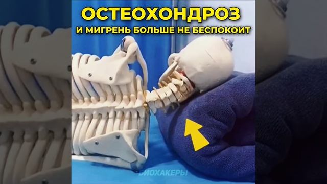 Спина не болит