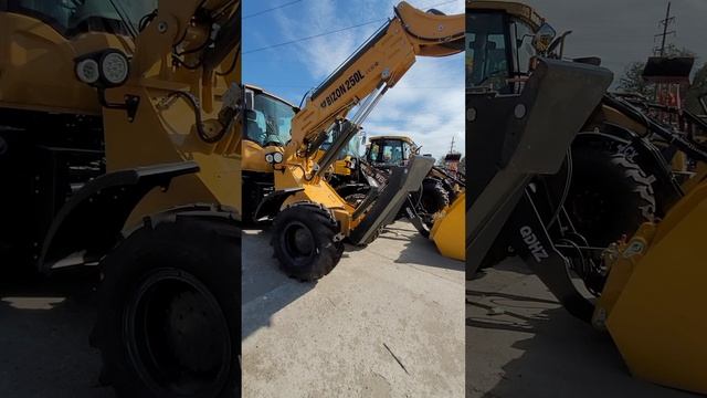 Телескопический погрузчик BIZON 250L