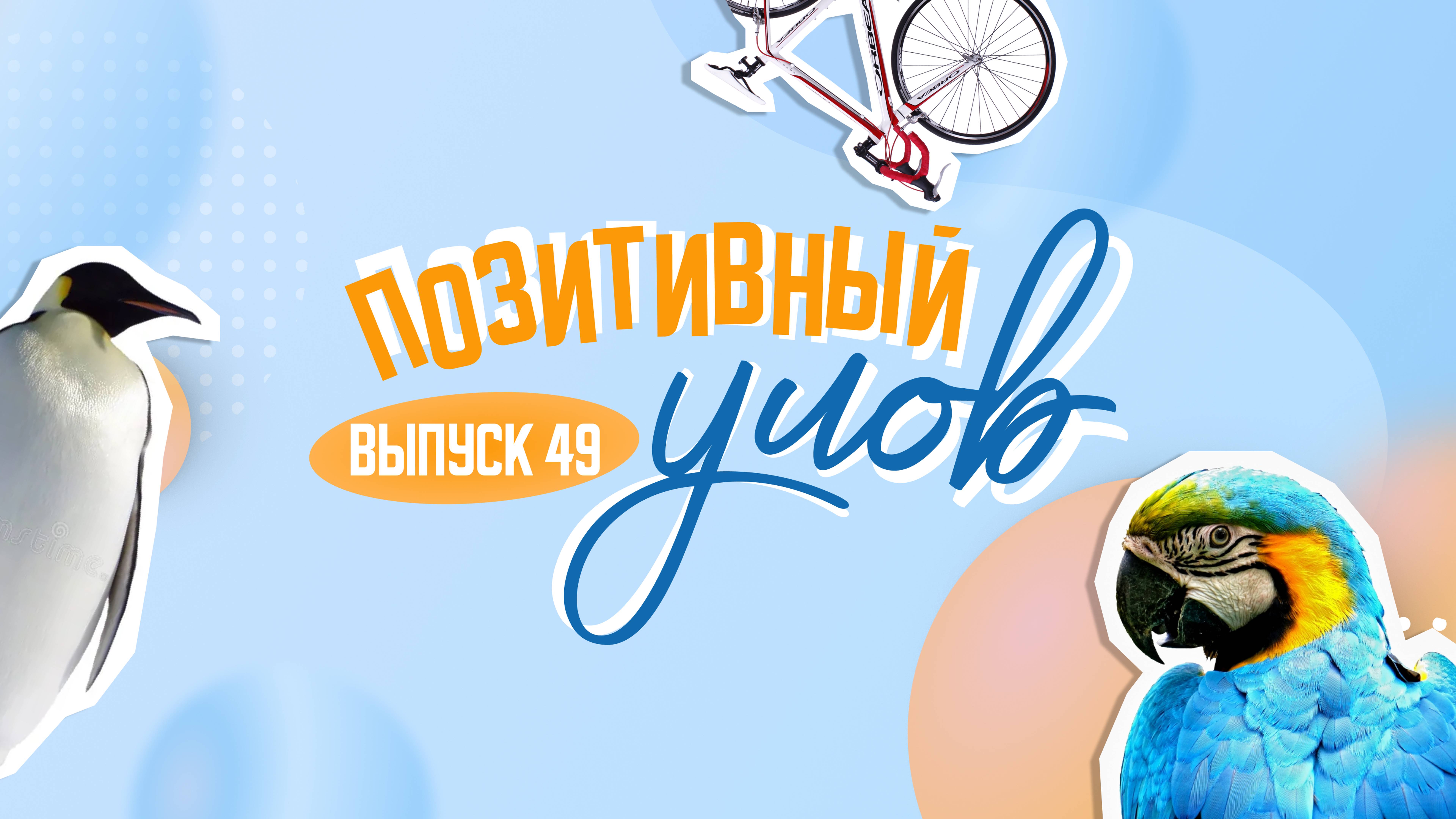 В чем секрет продуктивности на работе и как китайский гусь стал бизнесменом. "Позитивный улов"
