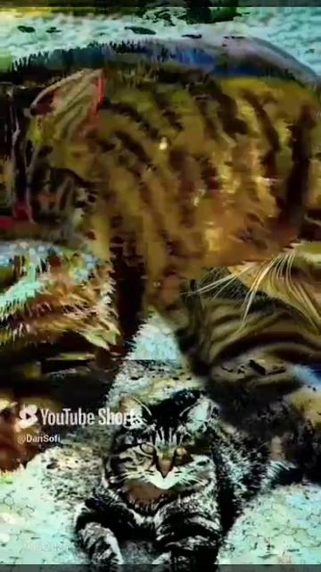 VID_20250612172011