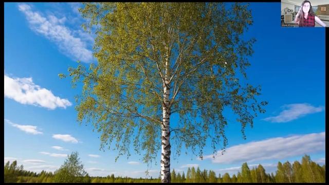 Окружающий мир для малышей. Деревья нашего двора