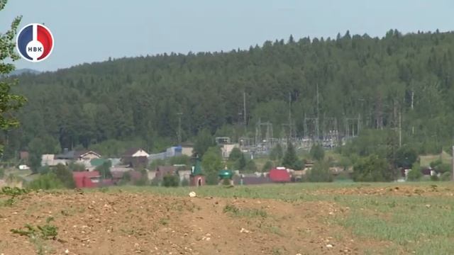 Борьба с борщевиком Сосновского