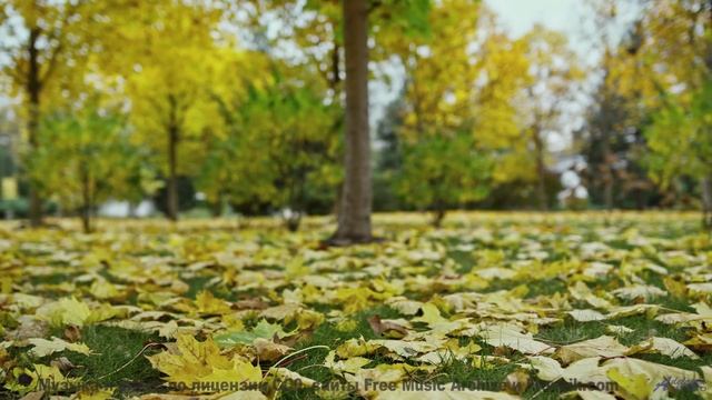 Музыка, которая звучит так, будто она написана специально для вас двоих! - Thinking -- Duncan Reid a