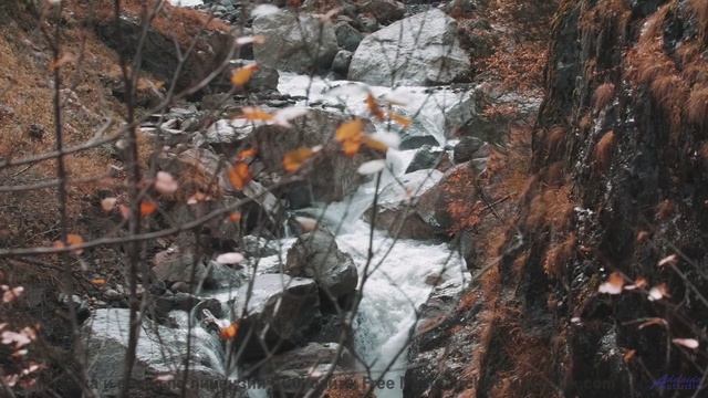 Почувствуйте, как стресс растворяется под этот саундтрек! - Fishgods -- Fourmi -- LAlunissage des fr