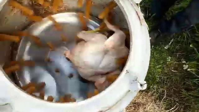 Испытание перосьемной машины из стиралки , надо тольк?