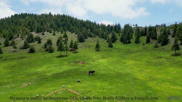 Музыка для аватаров - готовы к цифровому я - Dawn Of The End -- Ketsa -- Metaphysics