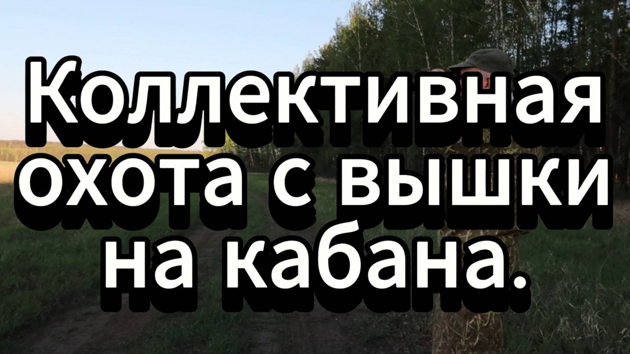 Охота на кабана с вышки