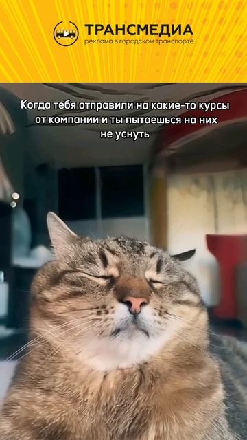 спать охота