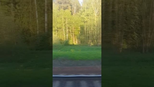 это время мы едем в электрички