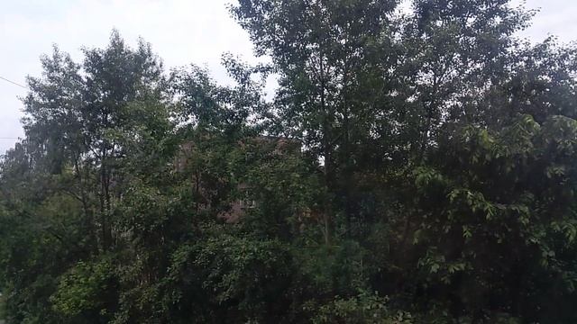 VID_20250612_042537