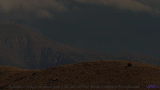 Звуковые волны, изменяющие сознание - попробуйте осторожно! - Thought Bubbles -- Podington Bear -- S