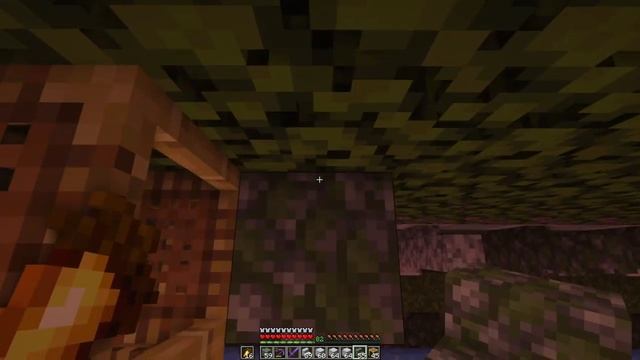 вещи_который_хотят_игроки_майнкрафта_несколько_ЛЕТ___вещи_которые