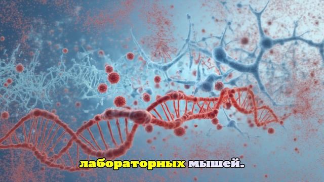Nature: обнаружен эффективный метод лечения опасного герпесного энцефалита