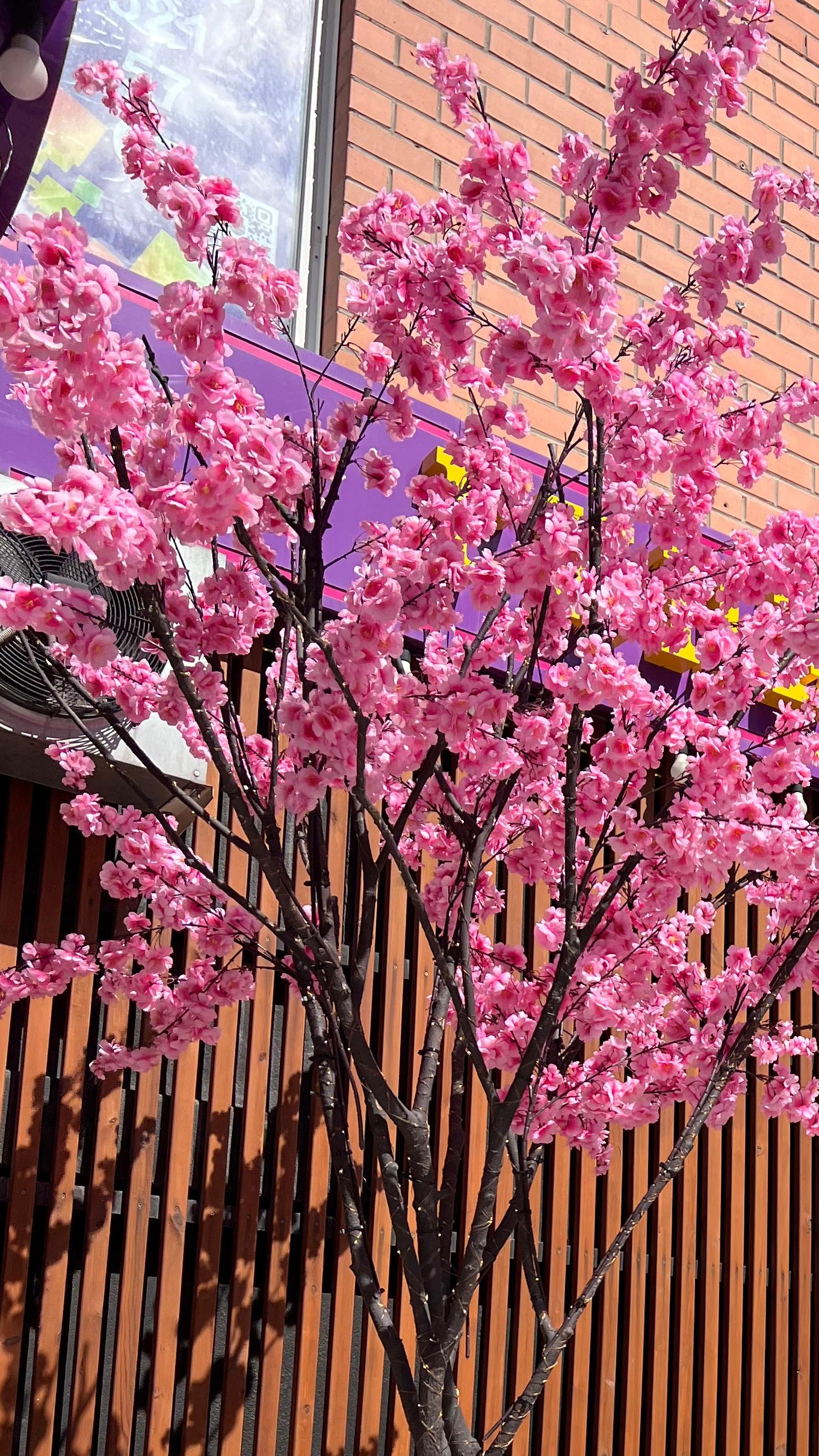 Прекрасная Япония🌸