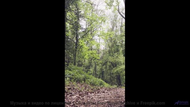 Музыка, которая заставит вас обнять друг друга крепче! - Counting Sheep -- Baners -- Tanquillity and