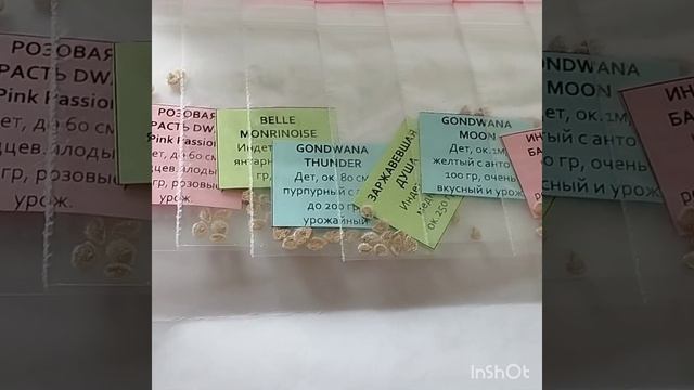 Как пополняется моя коллекция томатов . Спасибо , друз?